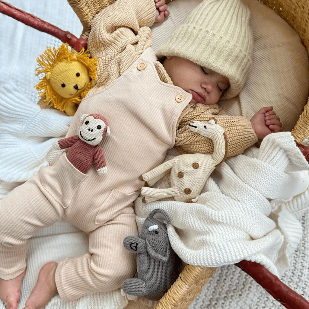 Organic Giraffe Rattle Baby Toy — Award - Winning & Eco - Friendly - Dear John