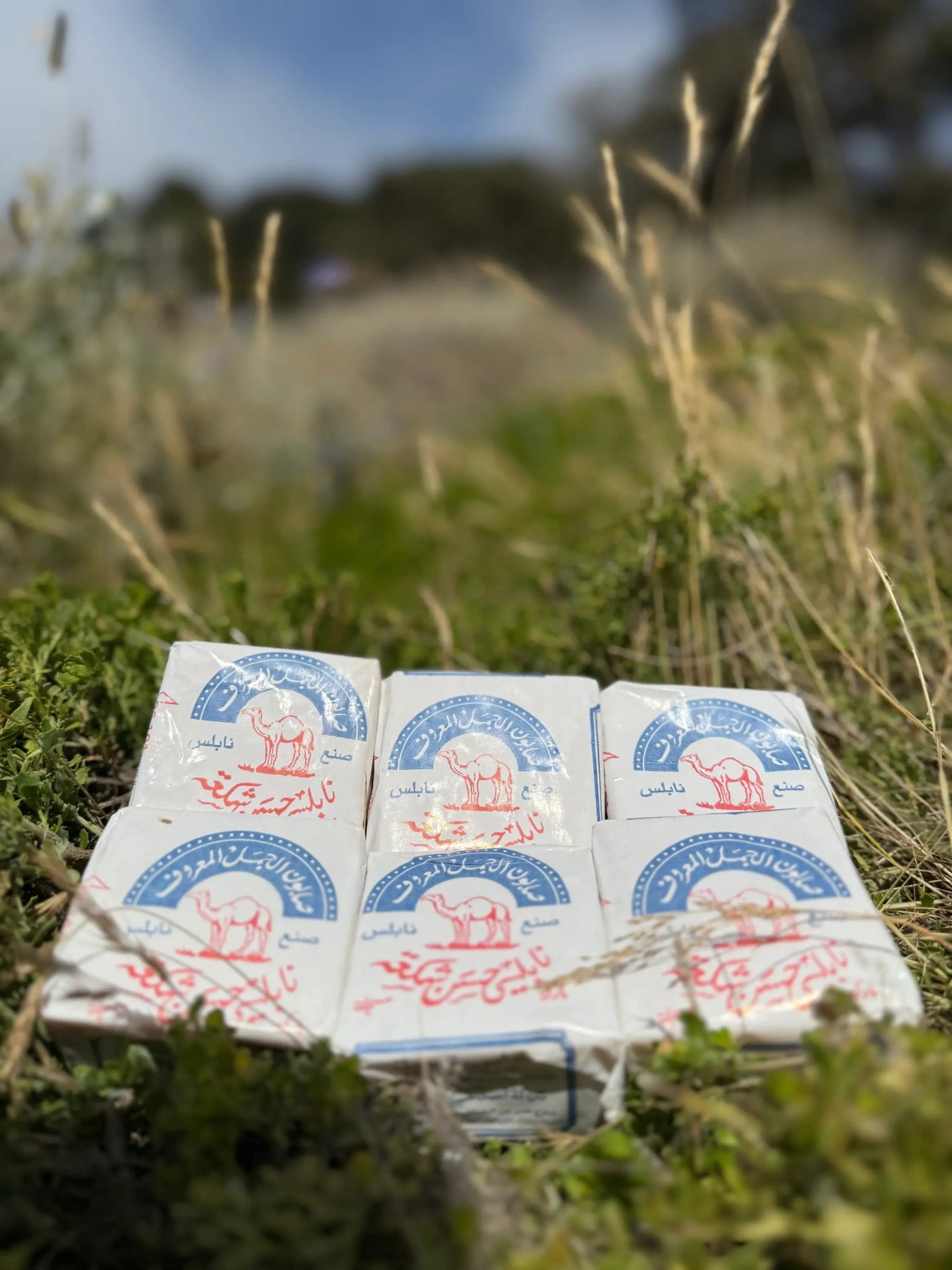 Palestinian Olive Oil Soap | Al Jamal factory - 1 bar - Dear John