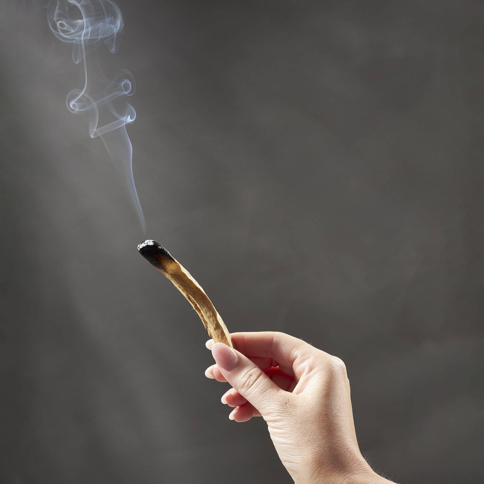 Palo Santo Wood Bundle Box - Plastic Free Packaging! - Dear John