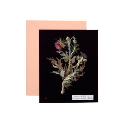 Paper Flowers Cards and Envelopes - Dear John