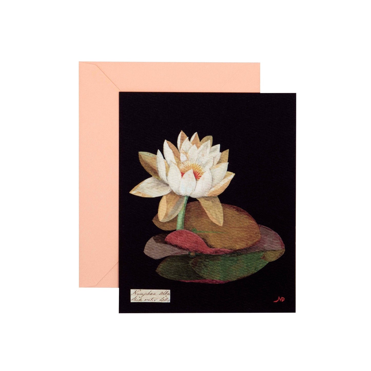 Paper Flowers Cards and Envelopes - Dear John