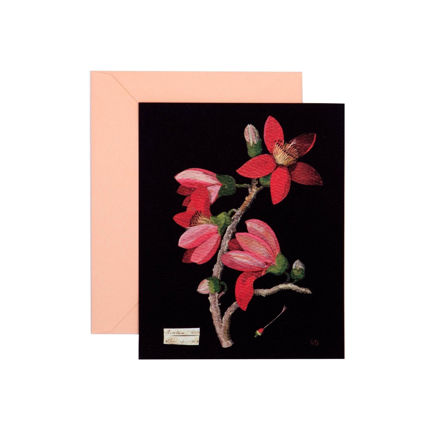 Paper Flowers Cards and Envelopes - Dear John