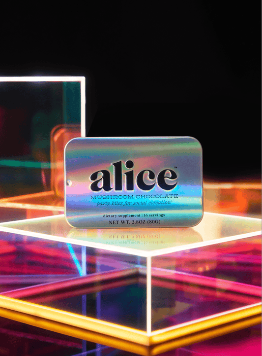 Party Trick — mushroom chocolate supplement for mood - Dear John