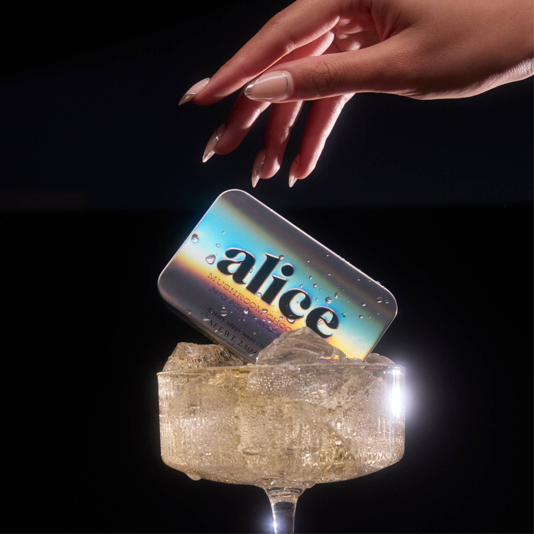 Party Trick — mushroom chocolate supplement for mood - Dear John