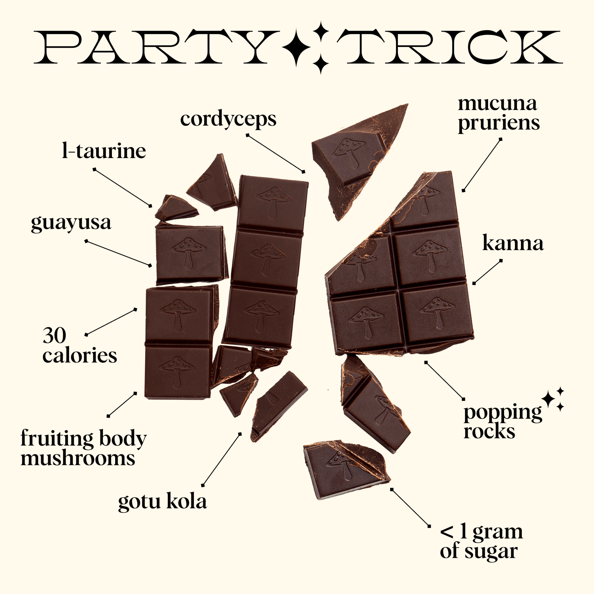 Party Trick — mushroom chocolate supplement for mood - Dear John
