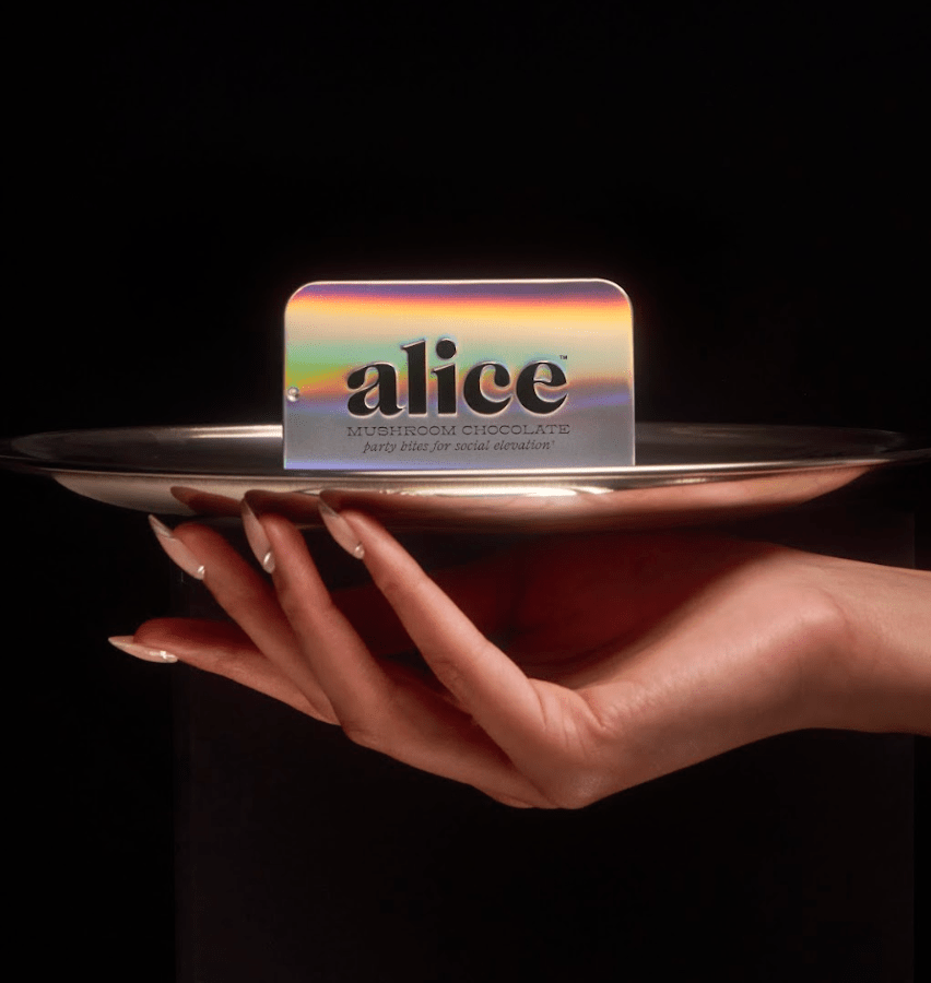 Party Trick — mushroom chocolate supplement for mood - Dear John