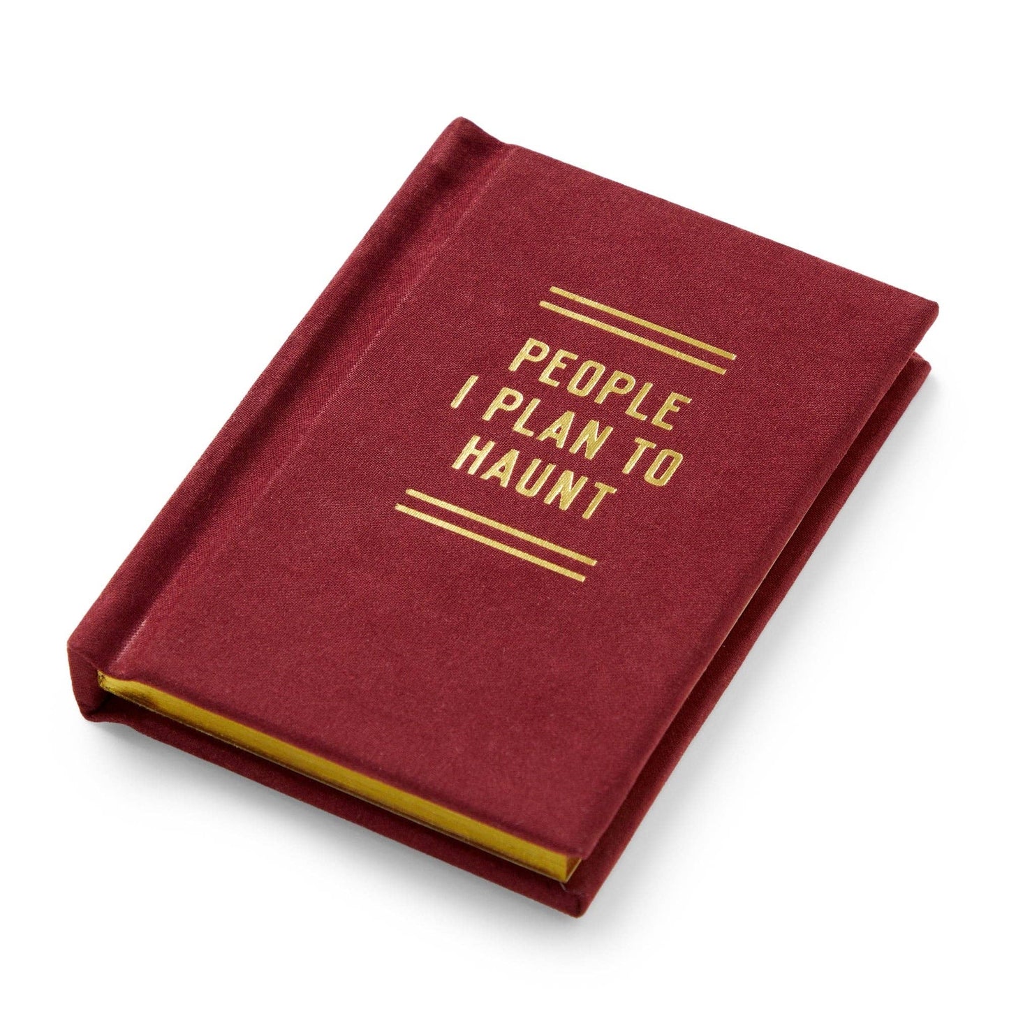 People I Plan To Haunt Tiny Diary - Dear John