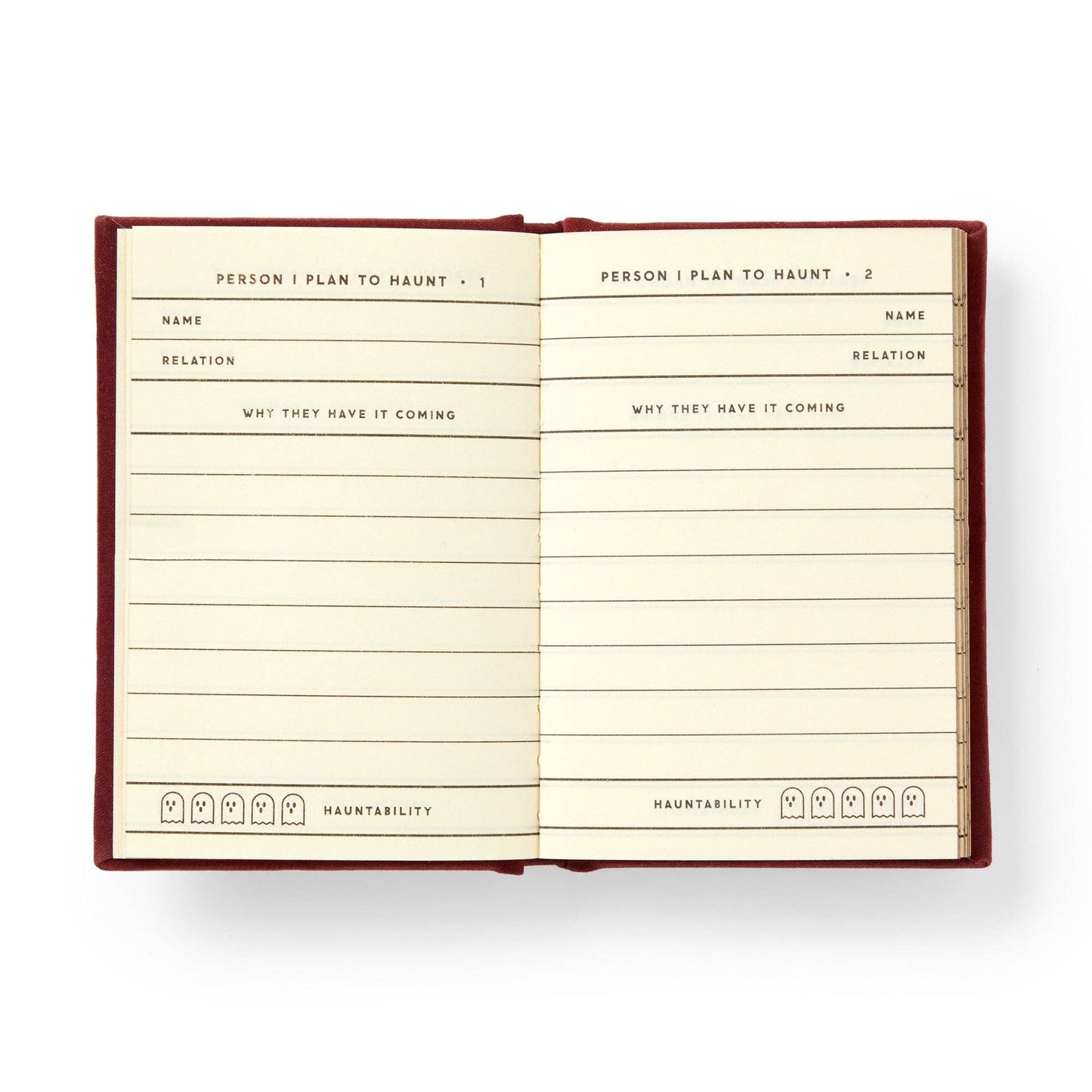 People I Plan To Haunt Tiny Diary - Dear John