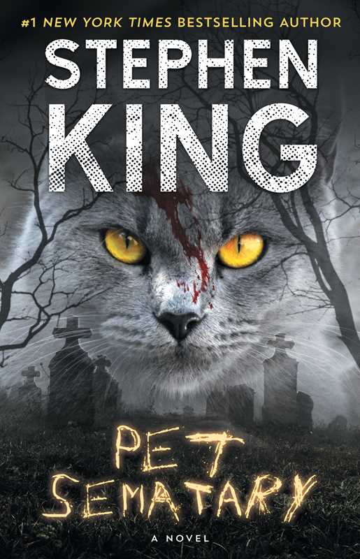 Pet Sematary by Stephen King - Dear John