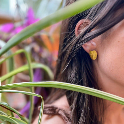 Philodendron Studs - Dear John