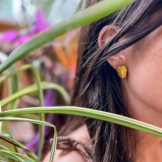 Philodendron Studs - Dear John