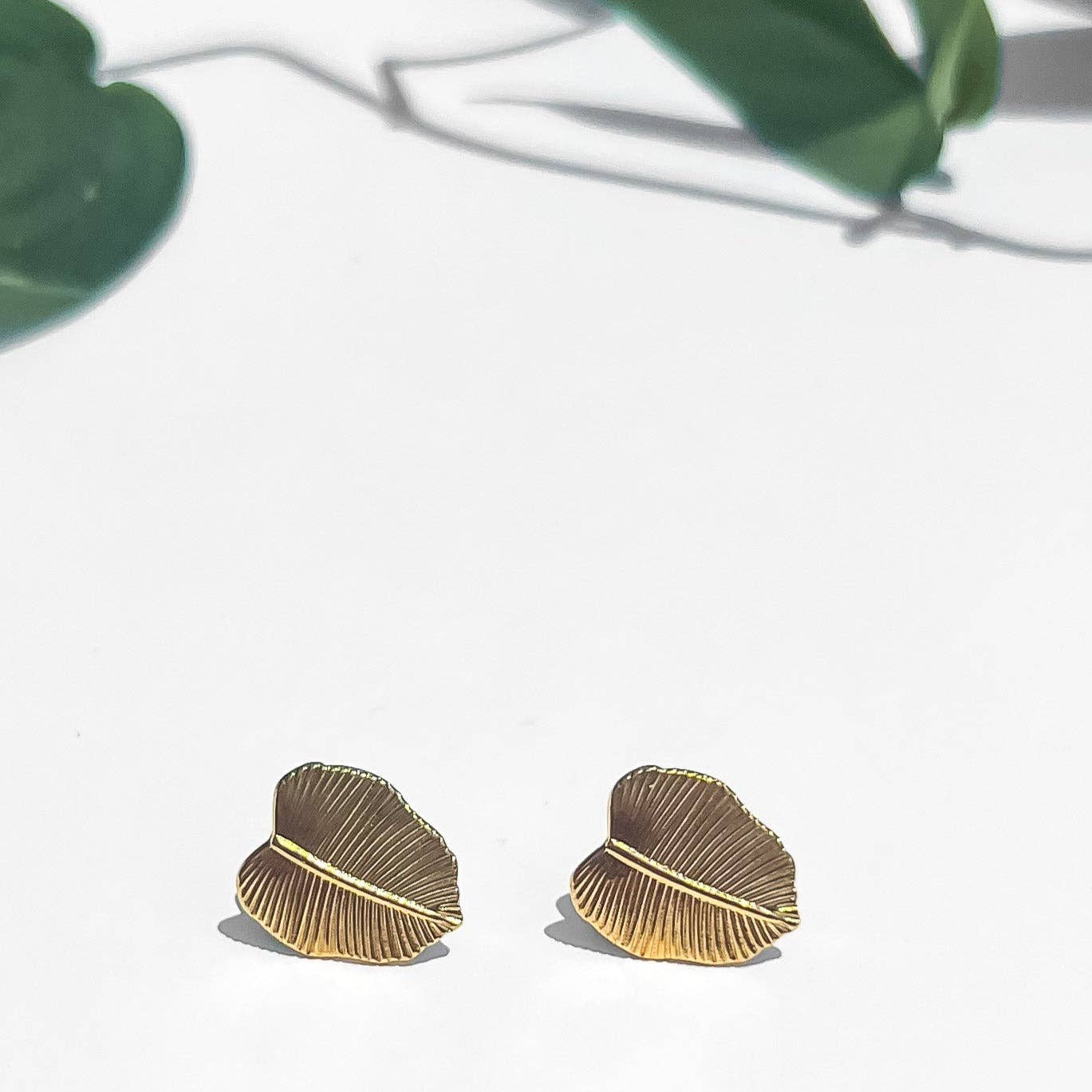 Philodendron Studs - Dear John
