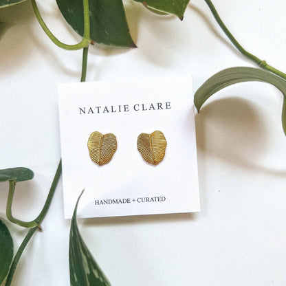 Philodendron Studs - Dear John