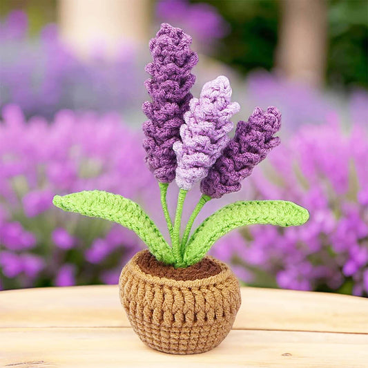 PinkLadyWorkshop - Crochet Lavender Pot | Lavender Decor | Handmade Finished - Dear John