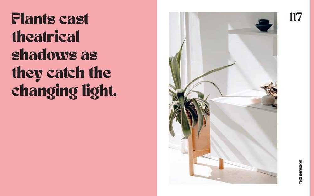 Plant House: Harper by Design - Dear John