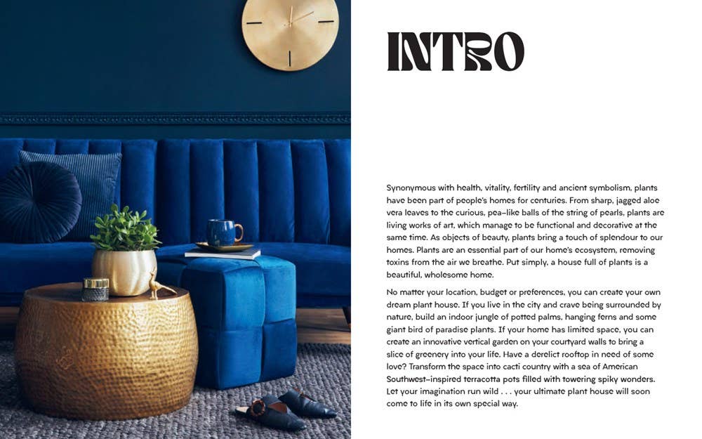 Plant House: Harper by Design - Dear John