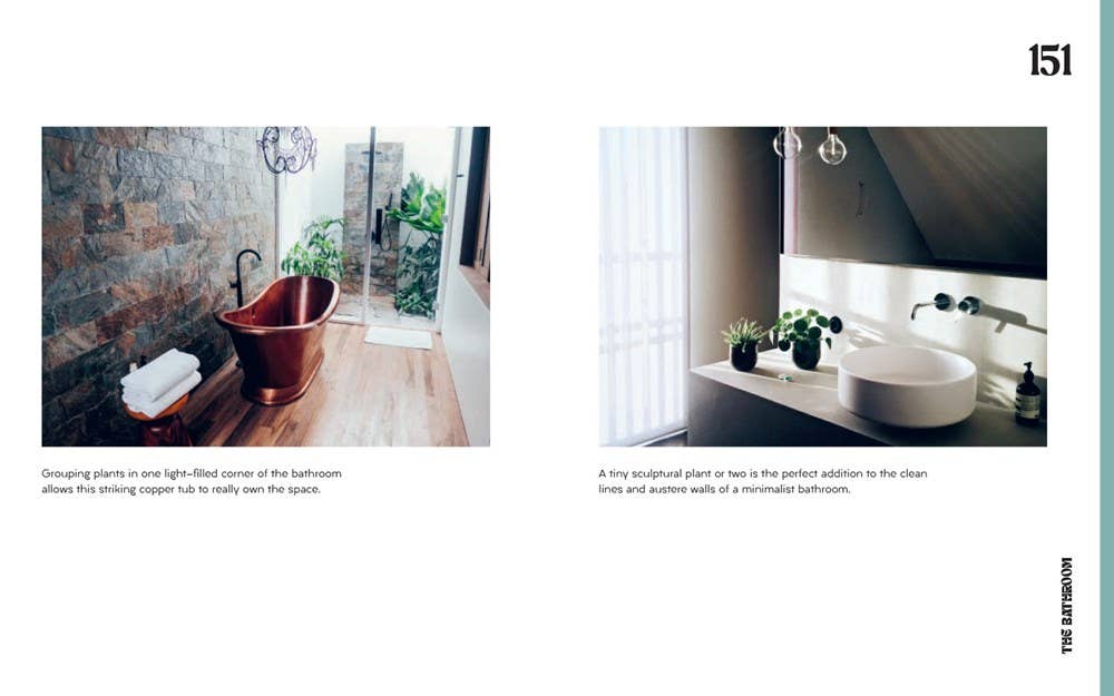 Plant House: Harper by Design - Dear John