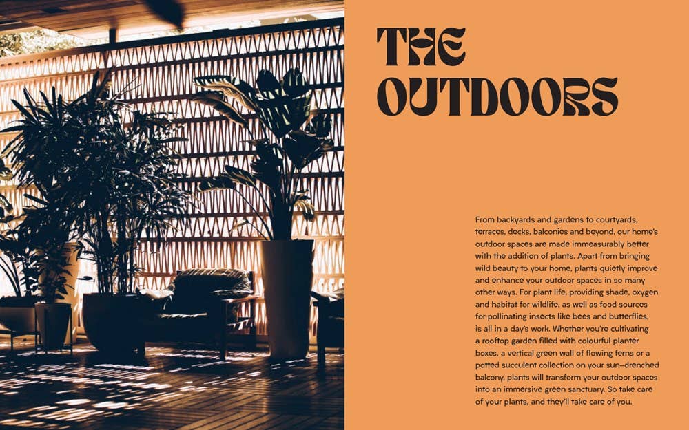 Plant House: Harper by Design - Dear John