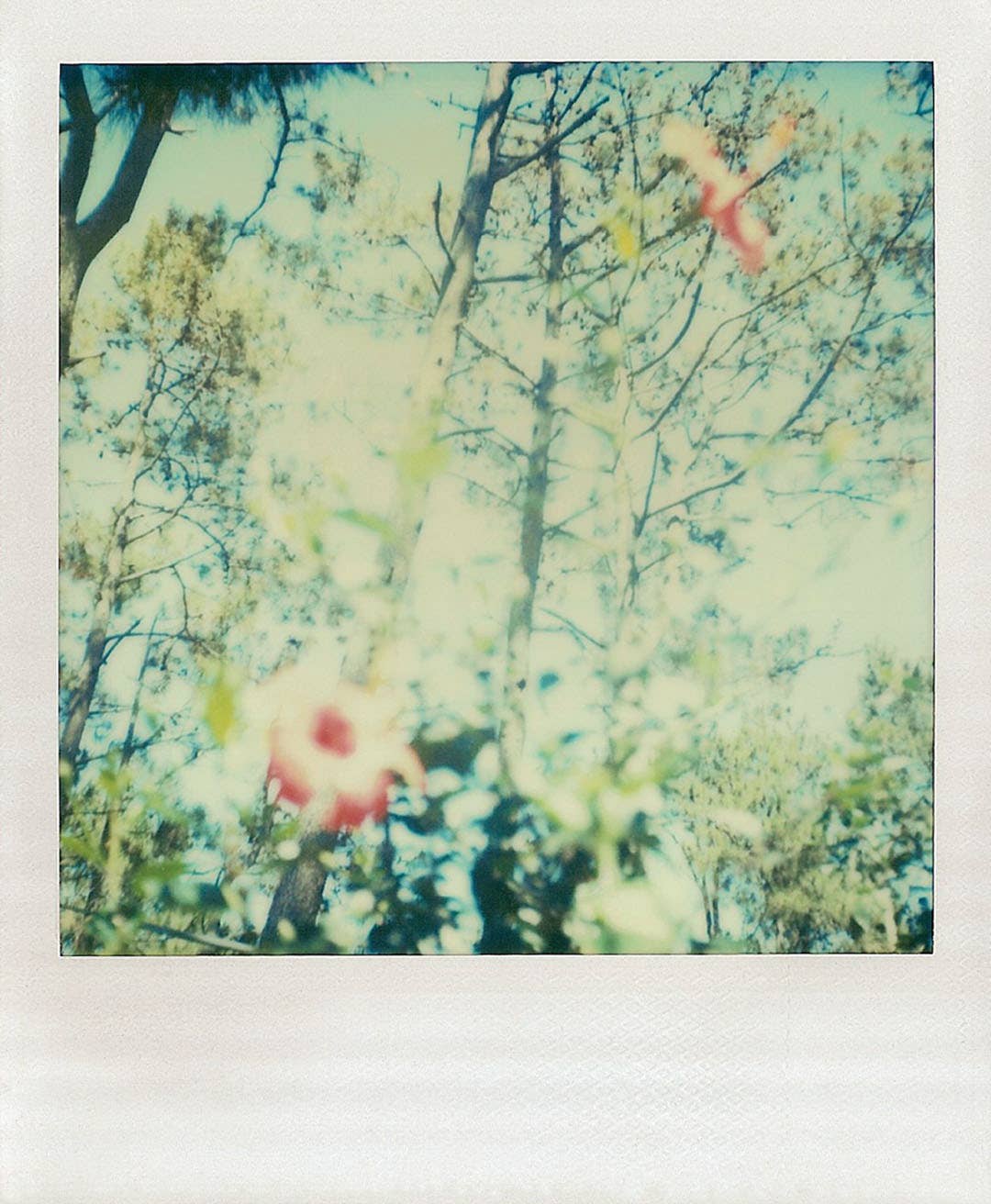Polaroid Notes - Dear John