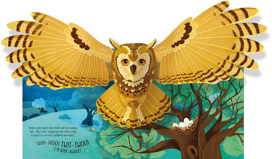 Pop - Up Birds - Dear John