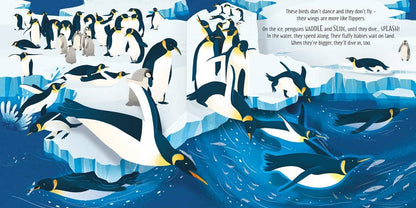 Pop - Up Birds - Dear John
