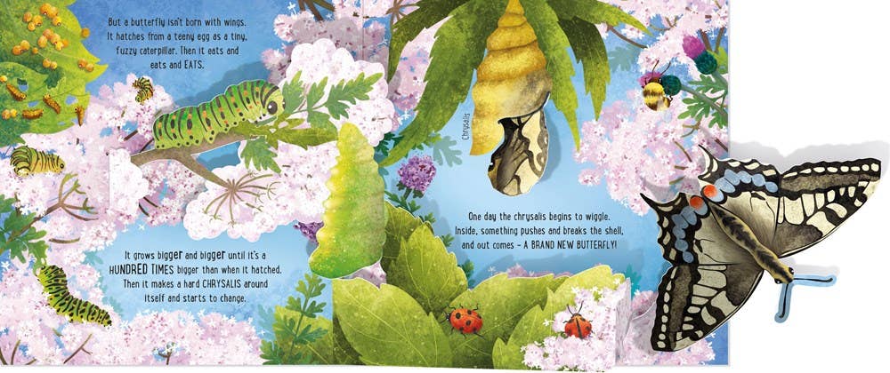 Pop - Up Butterflies: Laura Cowan - Dear John