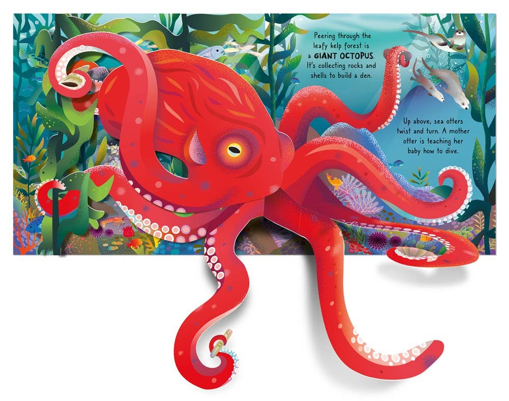 Pop - up Ocean : Usborne - Dear John