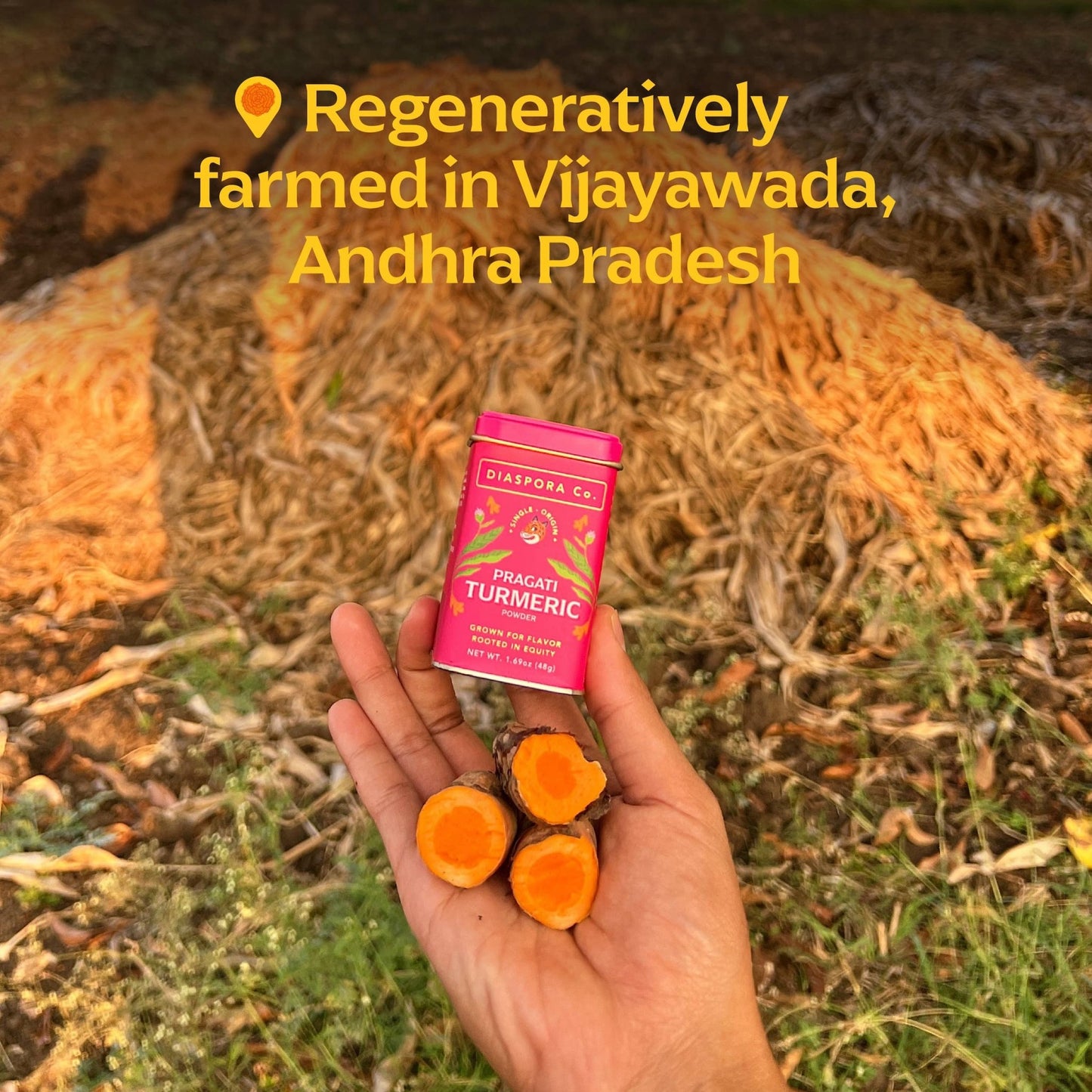 Pragati Heirloom Turmeric — Regeneratively Grown by the Kasaraneni Family - Dear John