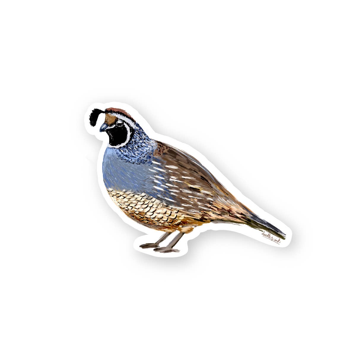 Quail Sticker - Dear John