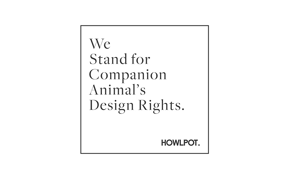 Ramen noodle Nosework Toy - Dear John