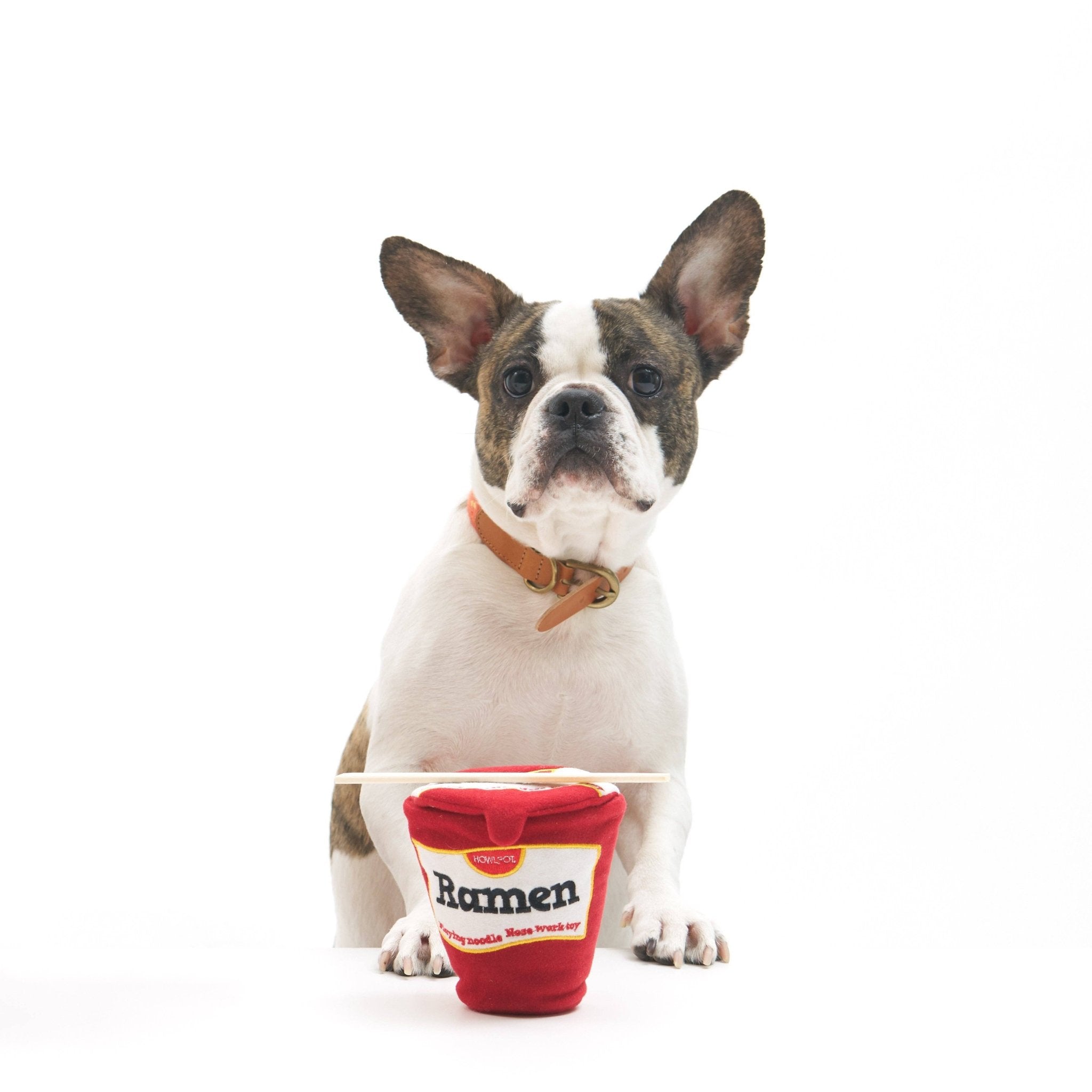 Ramen noodle Nosework Toy - Dear John