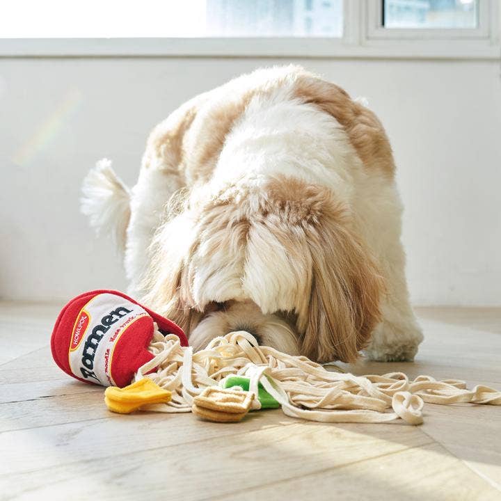Ramen noodle Nosework Toy - Dear John