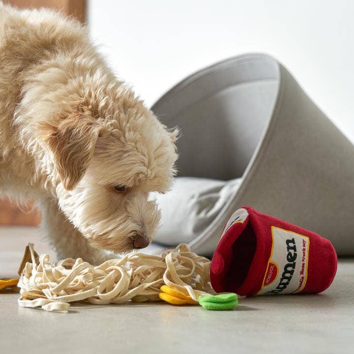 Ramen noodle Nosework Toy - Dear John