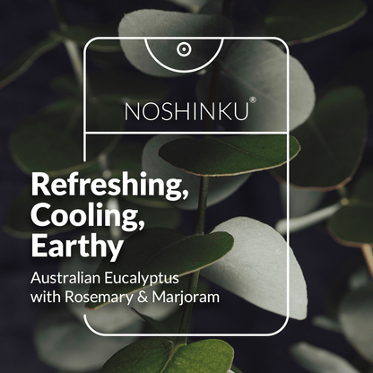 Refillable Eucalyptus Moisturizing Pocket Hand Sanitizer - Dear John