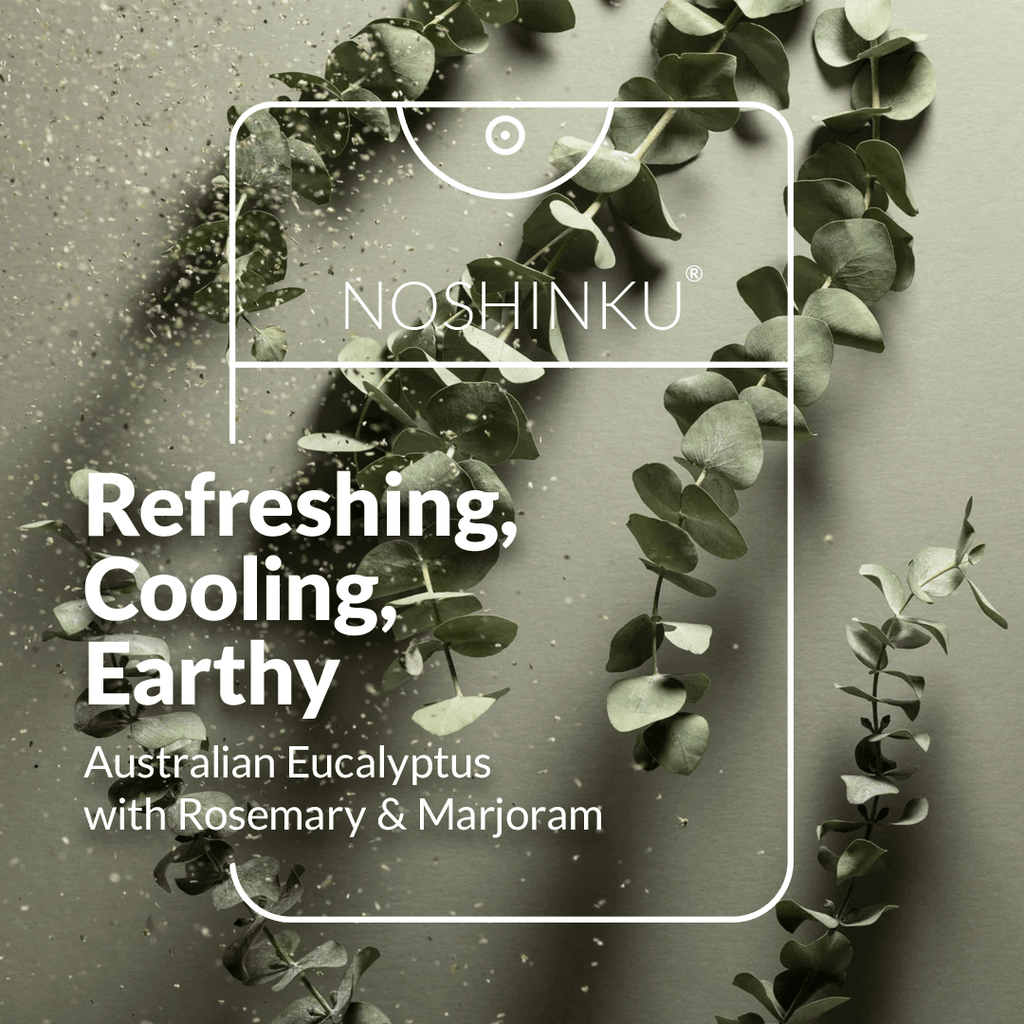 Refillable Eucalyptus Moisturizing Pocket Hand Sanitizer - Dear John