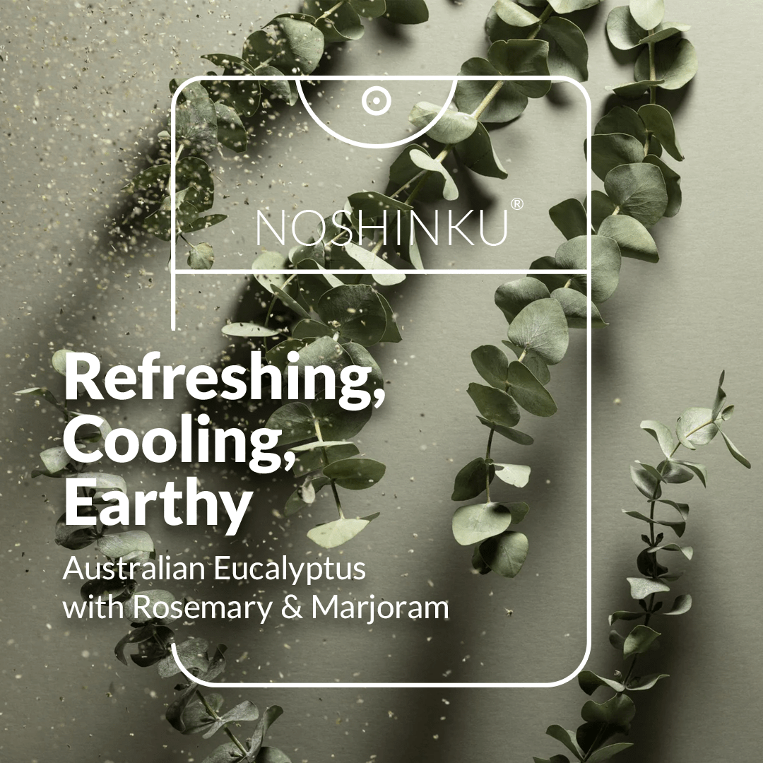 Refillable Eucalyptus Moisturizing Pocket Hand Sanitizer - Dear John