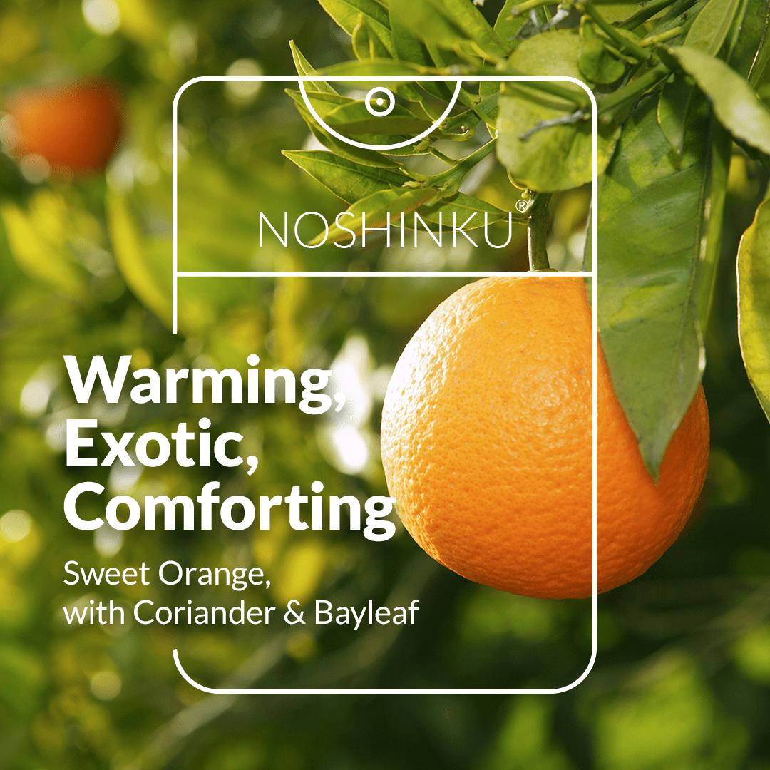 Refillable Orange Coriander Moisturizing Hand Sanitizer - Dear John