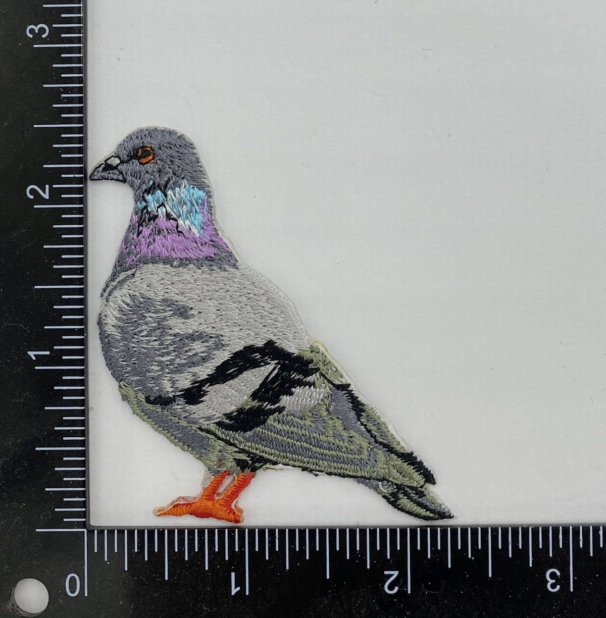 Rock Dove Pigeon, Birds, Iron on Patch - Dear John