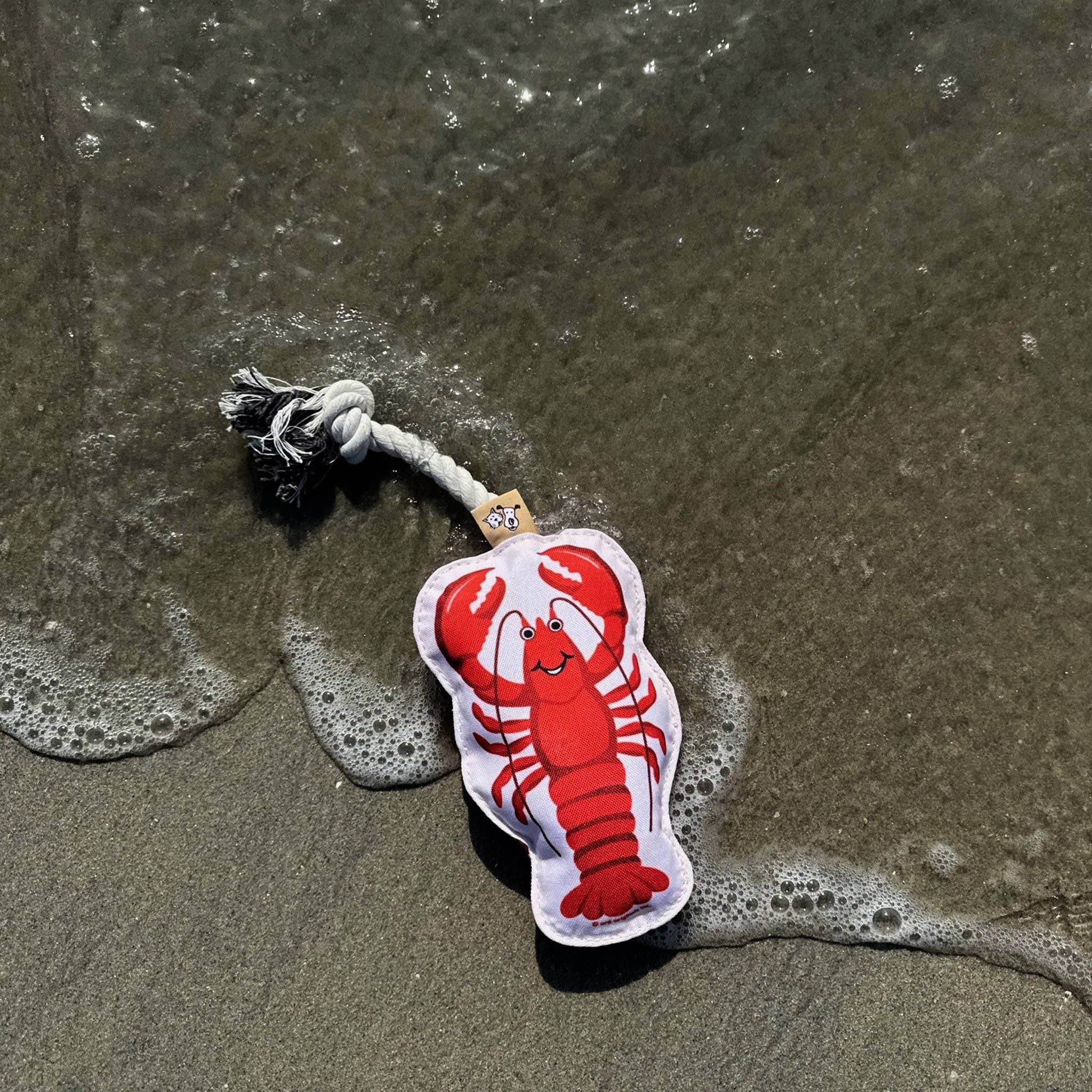 Rope Dog Toy | Lobster - Dear John