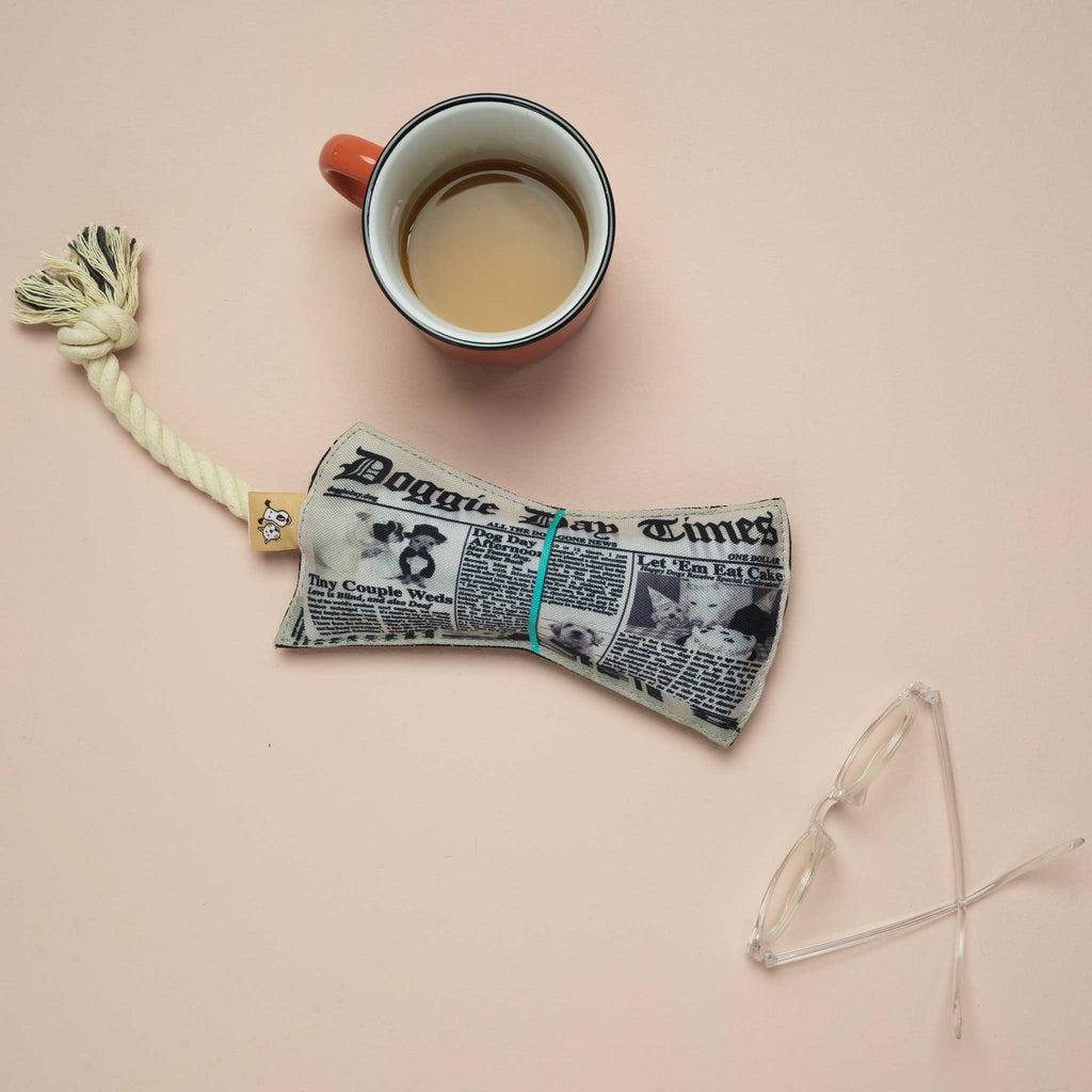 Rope Dog Toy | Newspaper - Dear John