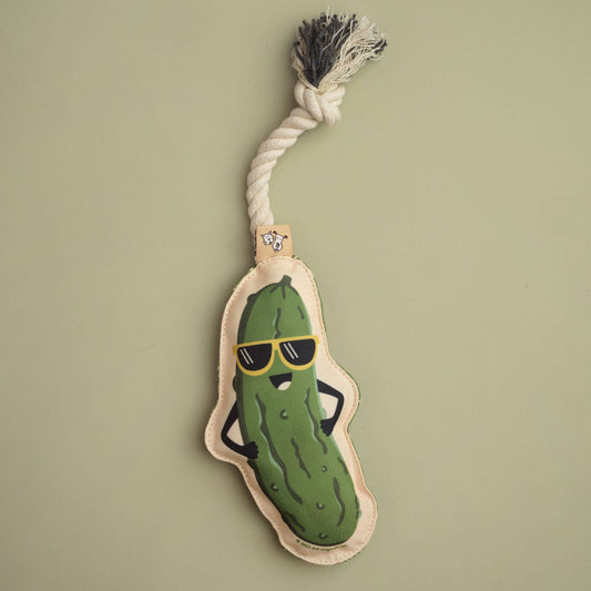 Rope Dog Toy | Pickle - Dear John