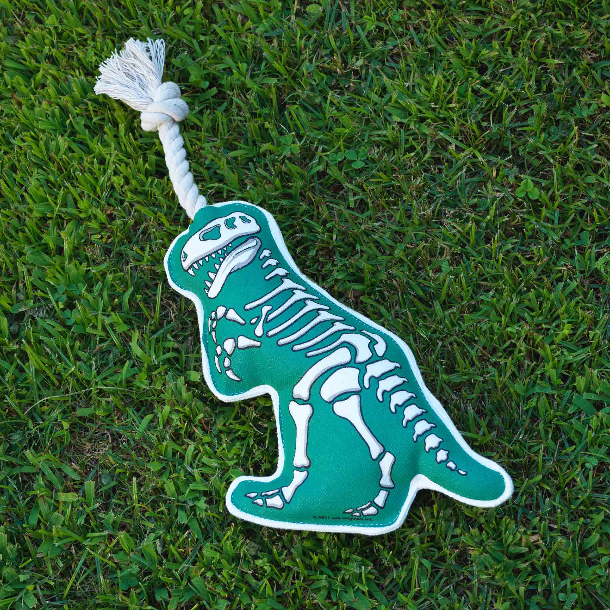 Rope Dog Toy | T - Rex - Dear John