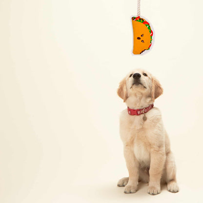 Rope Dog Toy | Taco - Dear John