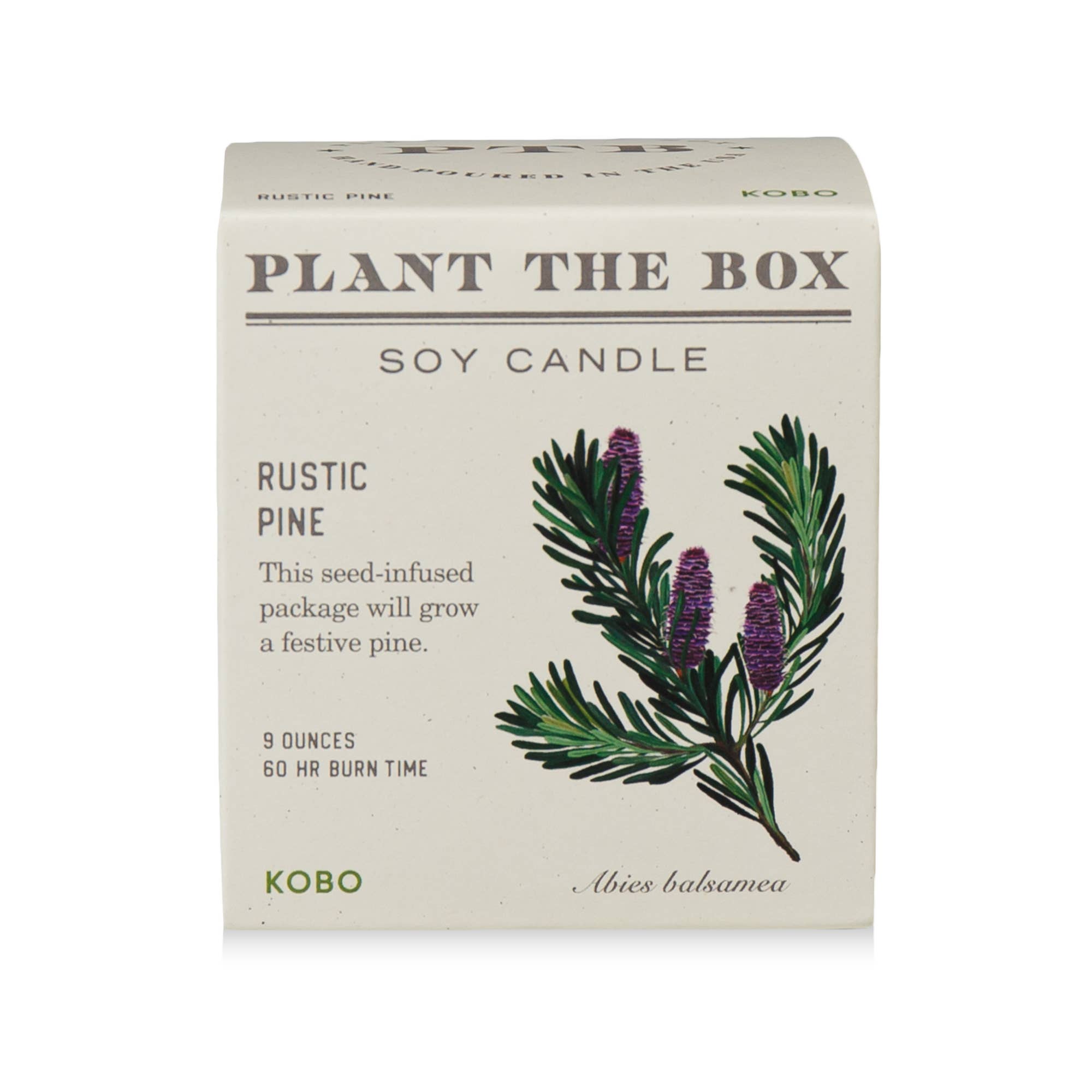 Rustic Pine - Plant the Box Candle - 9oz. - Dear John