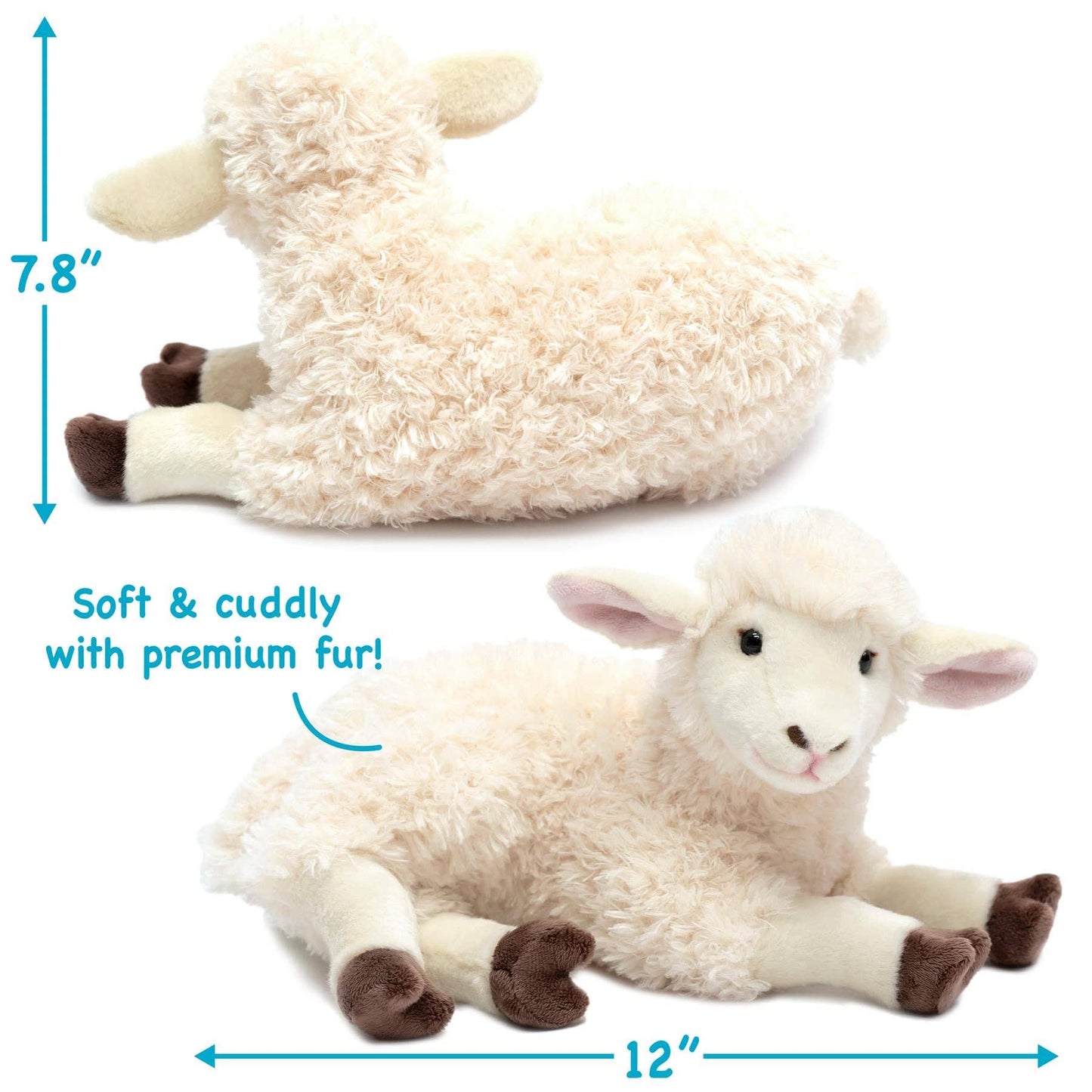 Shooky The Sheep - 13 Inch Stuffed Animal Plush - Dear John