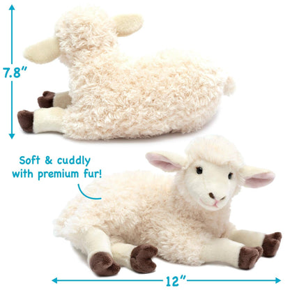 Shooky The Sheep - 13 Inch Stuffed Animal Plush - Dear John