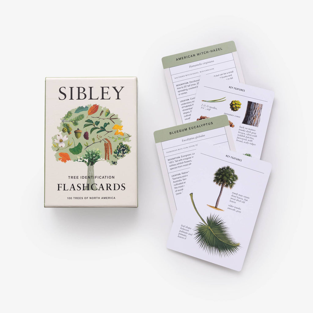 Sibley Tree Identification Flashcards - Dear John