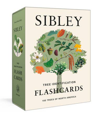 Sibley Tree Identification Flashcards - Dear John