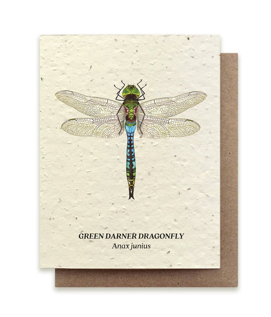 Small Victories - Green Darner Dragonfly Plantable Wildflower Seed Card - Dear John