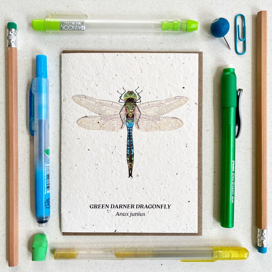 Small Victories - Green Darner Dragonfly Plantable Wildflower Seed Card - Dear John